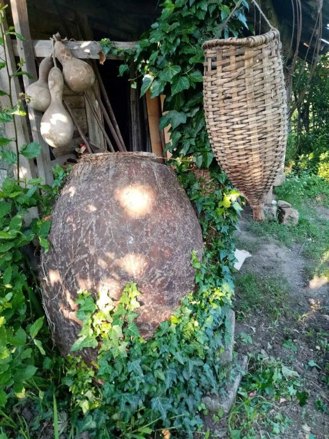 Guest House Knarik Jvari 外观 照片