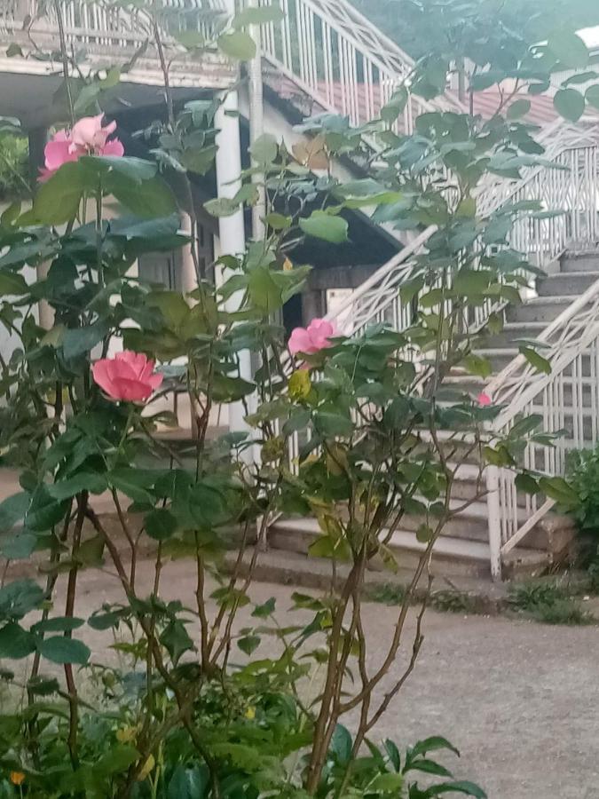 Guest House Knarik Jvari 外观 照片