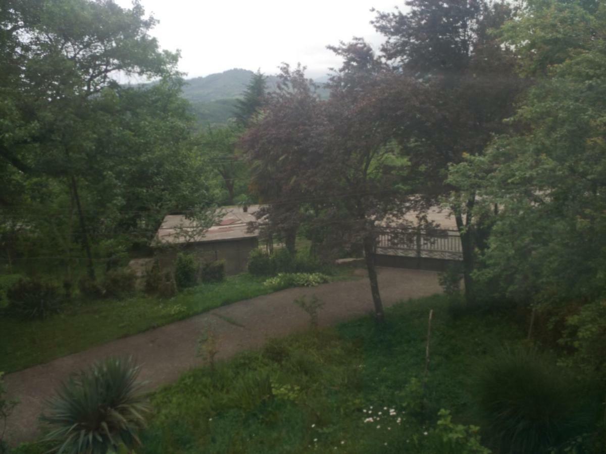 Guest House Knarik Jvari 外观 照片