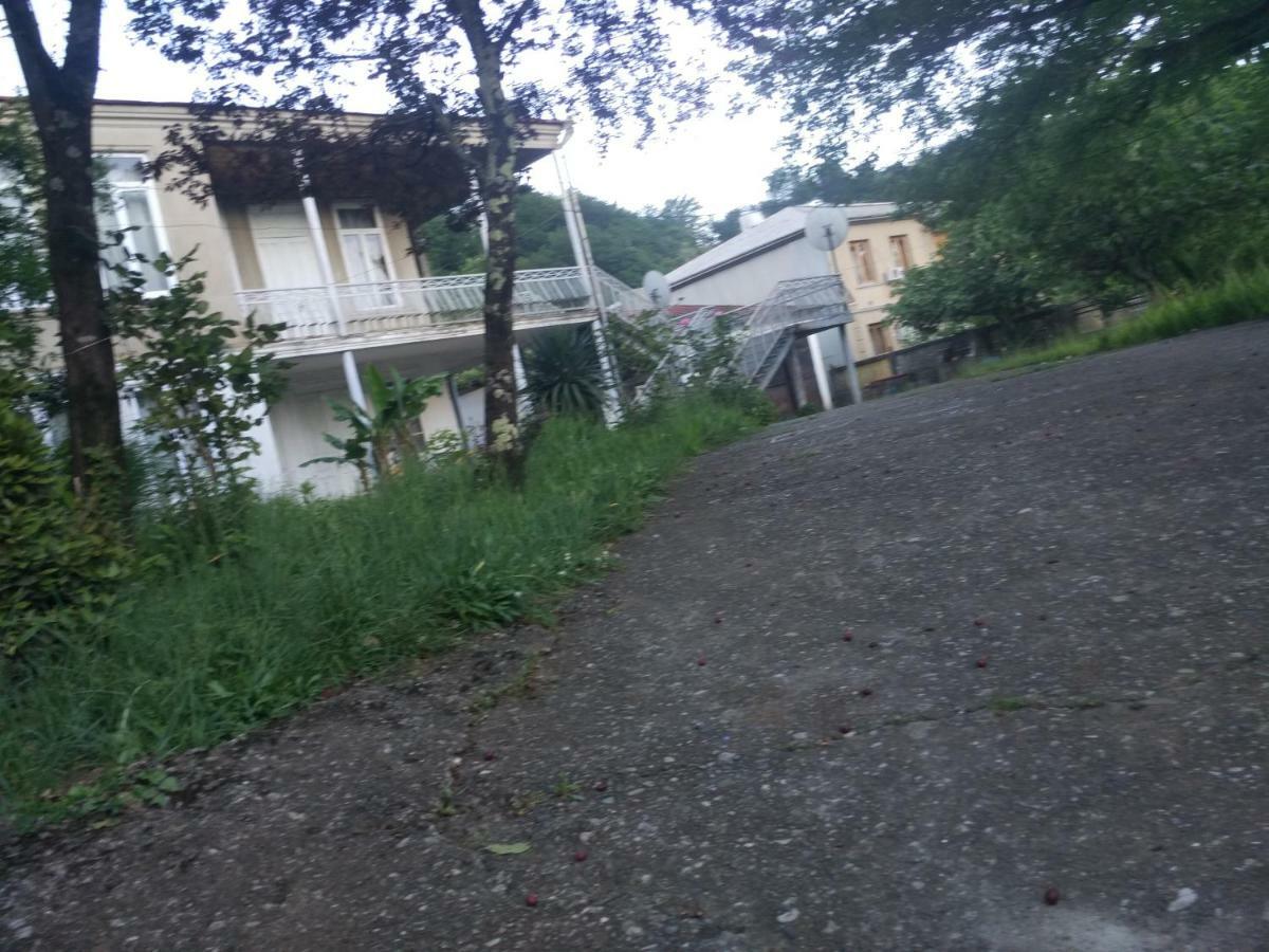 Guest House Knarik Jvari 外观 照片